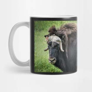 North American Wildlife - Bull Musk Ox Mug